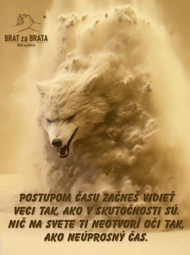 photo 2026-01-20 17-11-38