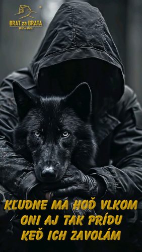 photo 2026-01-20 17-13-57