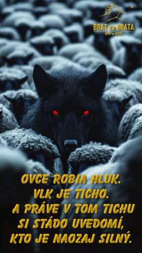ticho