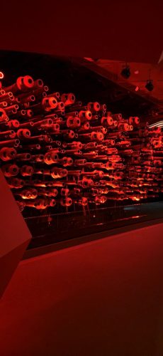 photo 2026-01-05 13-24-29